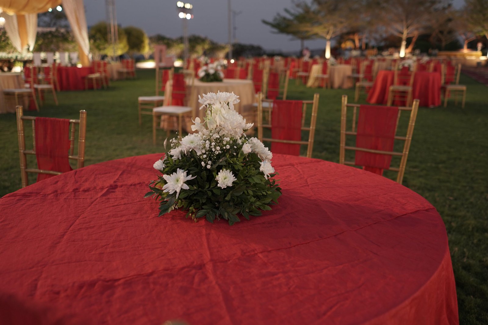 DSC04066 – Copy (2)